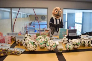 condorfuracaonataldiferente4